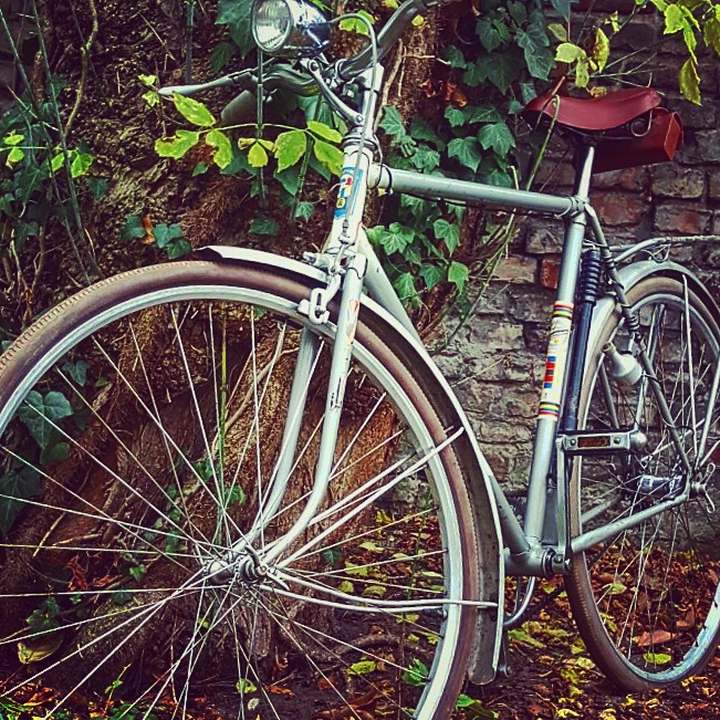 Diamant Sportfahrrad